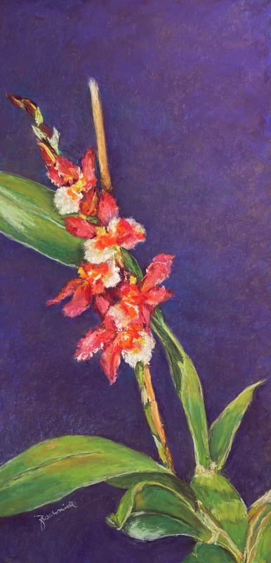 Allure of an Orchid I by artist Julie Schmidt